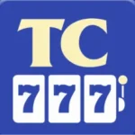 tc-777-icon