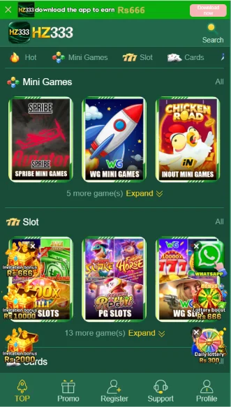 hz333-game