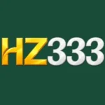 hz333-icon