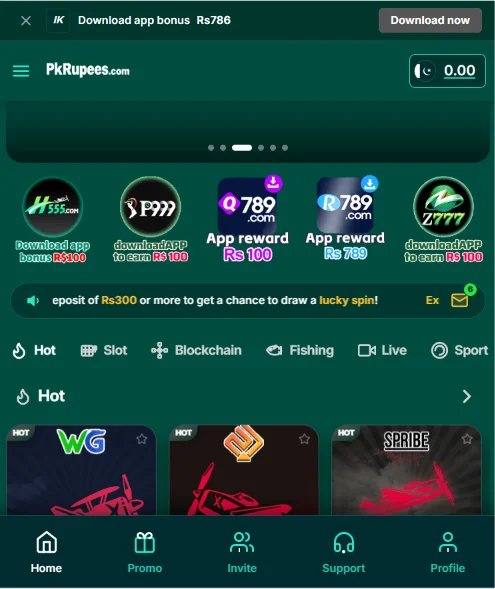 pkrupees-interface